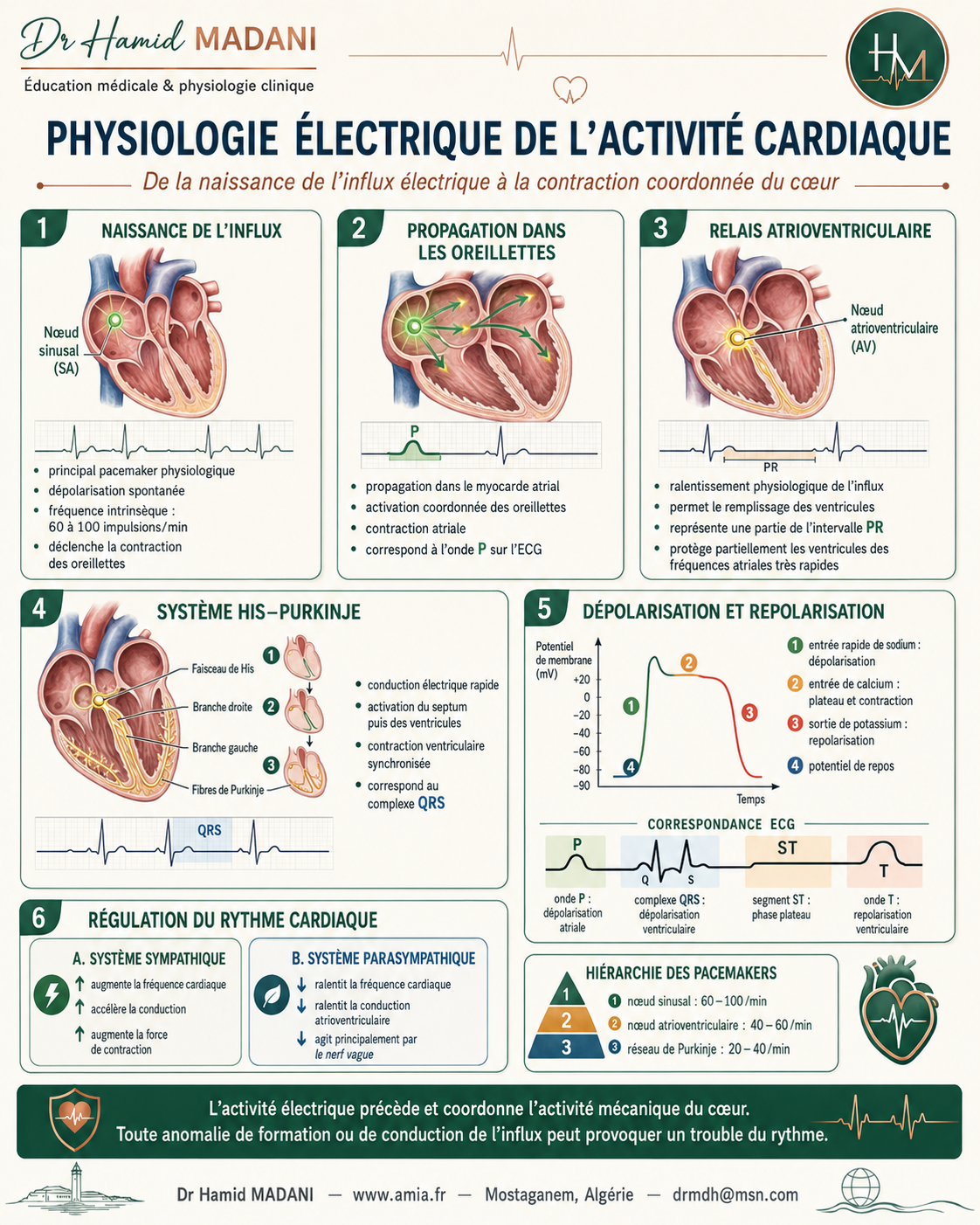 Physiologie electrique de l'activité cardiaque